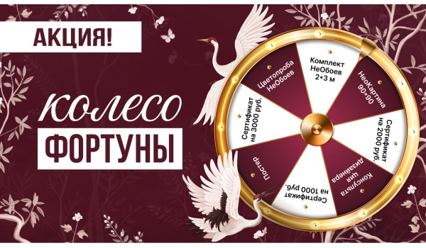 Колесо фортуны